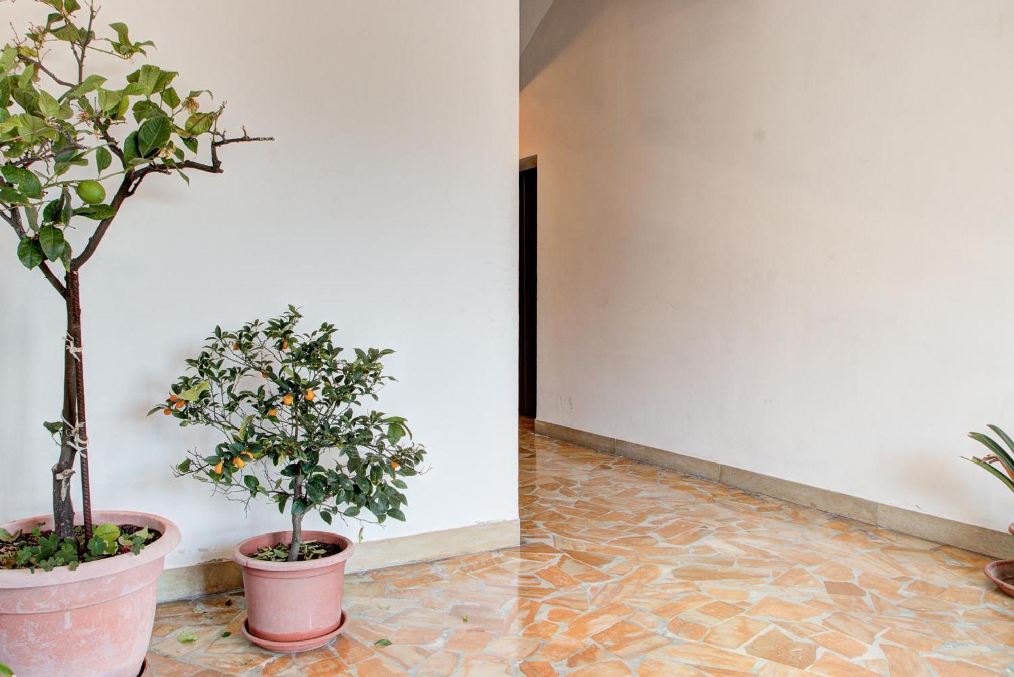 Casa Emilia Apartment Volterra Exterior foto